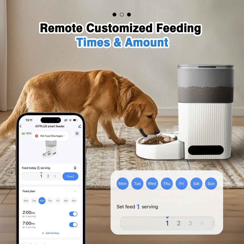 4L Smart Automatic Pet Feeder — App Control, Timer & Voice Recorder — Stainless Steel Bowl — White