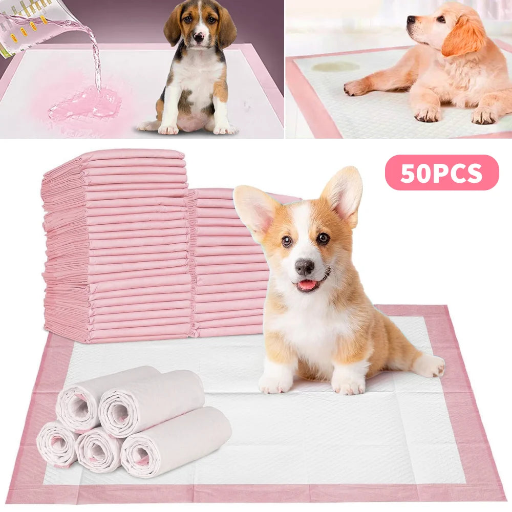 50 Pack Disposable Puppy Training Pads — Quick-Dry Absorbent — 3 Sizes — Blue & Pink