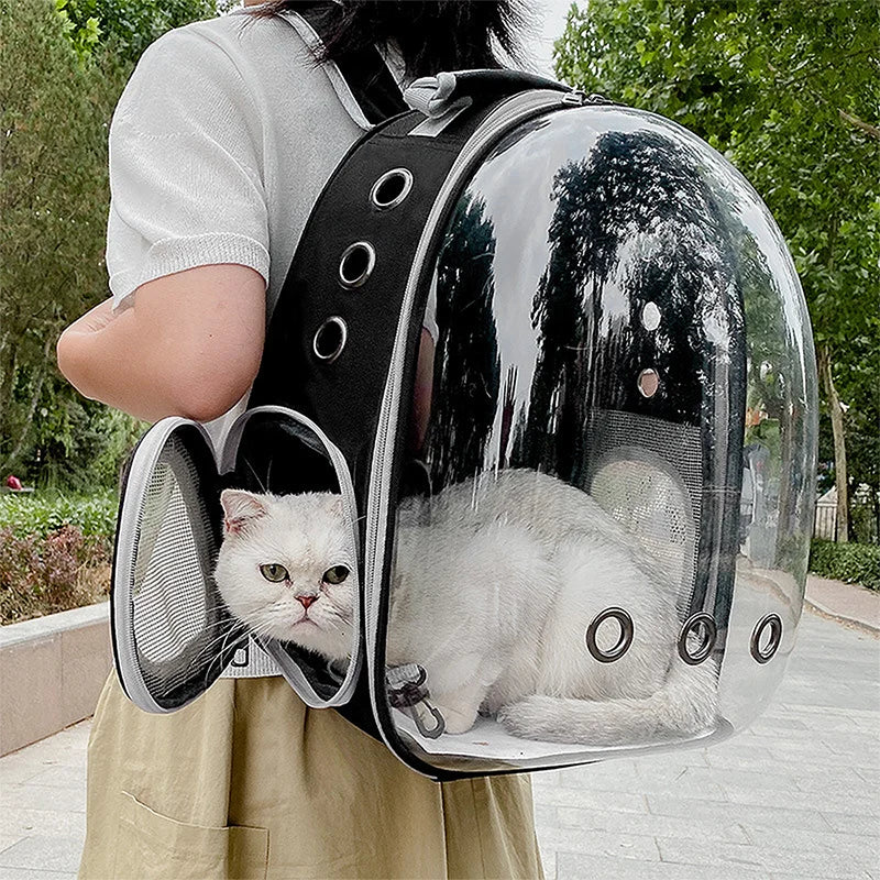 Space capsule style breathable cat backpack carrier with panoramic bubble window, available in black grey pink blue, comfortable travel bag for medium cats