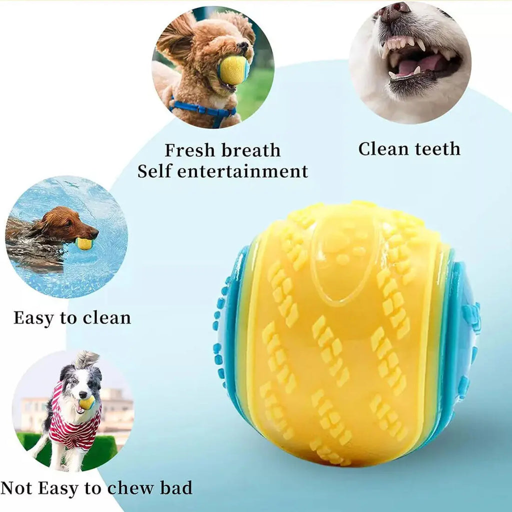 Squeaky Dog Toy Balls — 8 Pack — Durable TPR — Teeth Cleaning — Floating — Assorted Colours