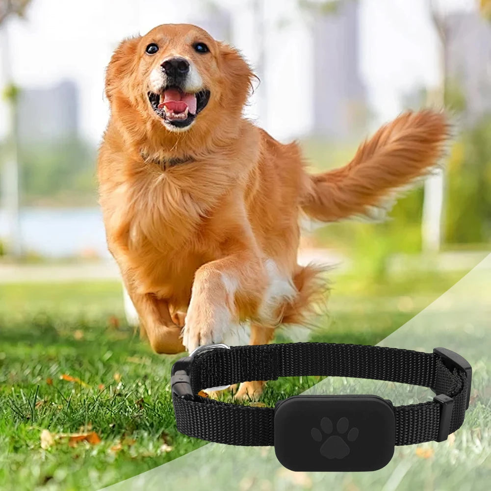 Pet GPS tracker collar – waterproof Bluetooth locator – cats dogs – black blue pink – UK stock – free delivery