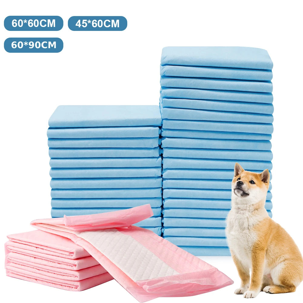 50 Pack Disposable Puppy Training Pads — Quick-Dry Absorbent — 3 Sizes — Blue & Pink