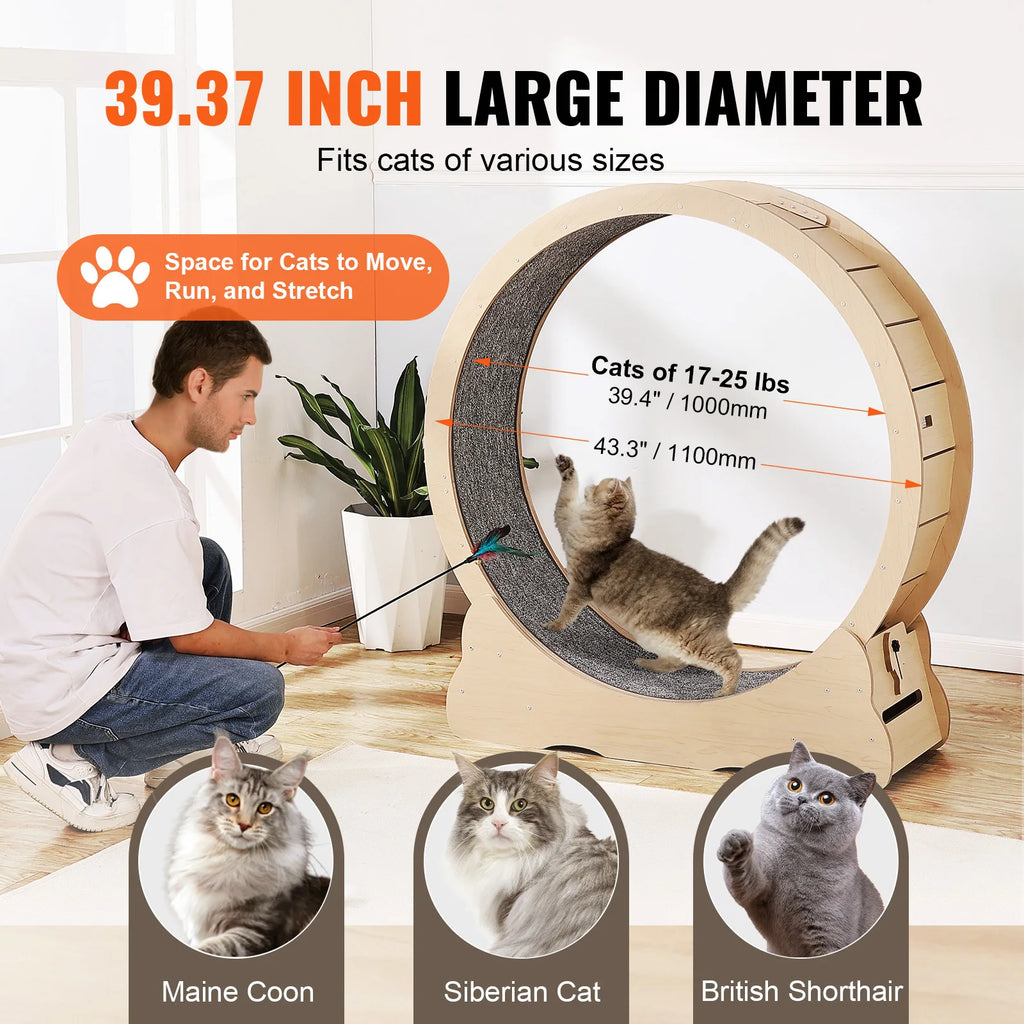 Solid wood silent cat exercise wheel with detachable carpet running track, indoor cat treadmill in 3 sizes, includes teaser toy