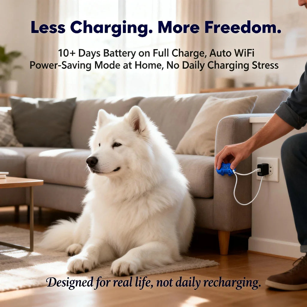 GPS Pet Tracker for Dogs & Cats — Real-Time Tracking — Unlimited Range — Waterproof — UK Stock