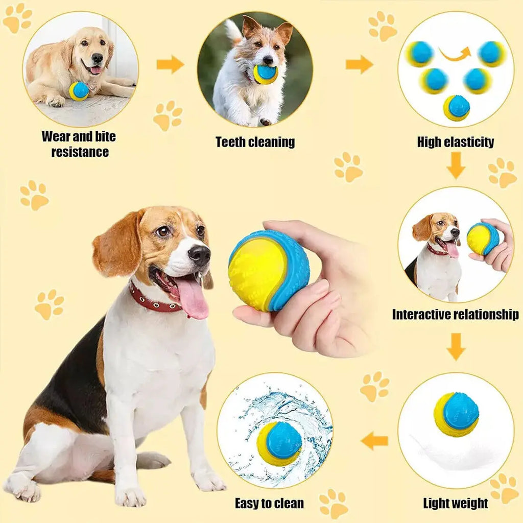 Squeaky Dog Toy Balls — 8 Pack — Durable TPR — Teeth Cleaning — Floating — Assorted Colours