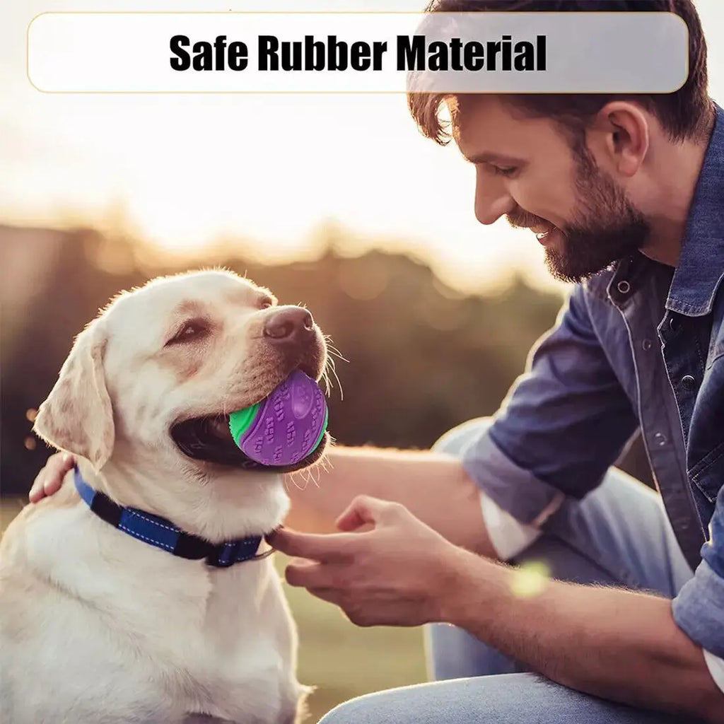 Squeaky Dog Toy Balls — 8 Pack — Durable TPR — Teeth Cleaning — Floating — Assorted Colours